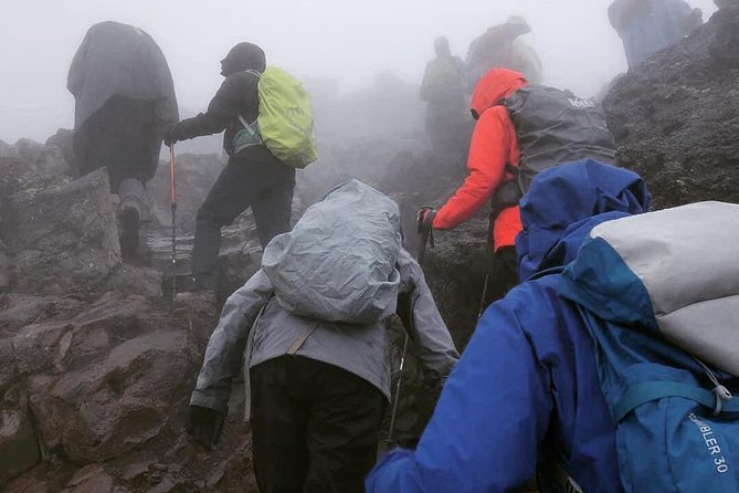 7 Days Lemosho Route Climbing Mt.Kilimanjaro - Key Inclusions and Services