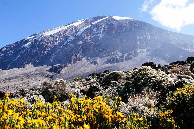 7 Days Machame Route Trek Mount Kilimanjaro - Trekking Through Varied Environments