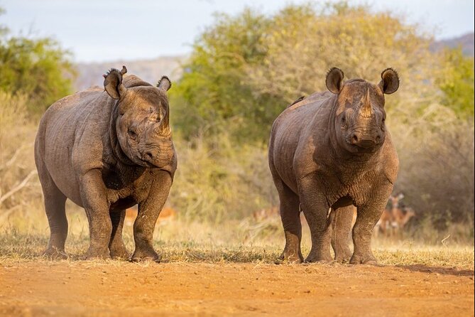 7 Days Rhino Ngorongoro Crater Safari Tour - Itinerary Overview