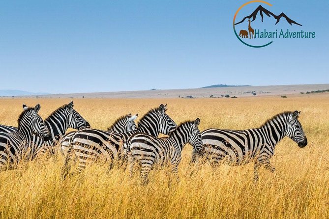 7 Days Safari. Serengeti, Tarangire, Lake Manyara & Ngorongoro Crater. - Itinerary Highlights