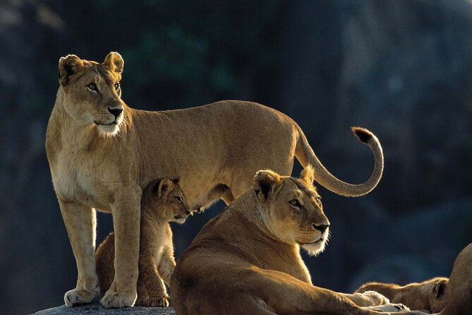 7 Days Tanzania Luxury Safaris - Day Excursions and Sights