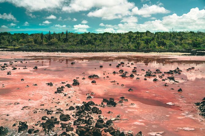 7 Days Tour in Quito and Santa Cruz/Galapagos - Best of Ecuador - Pickup Information