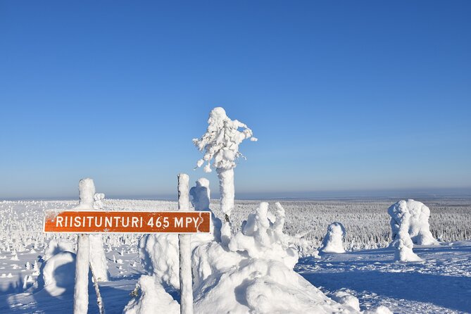 7 Days Winter Lapland Nature Experience - Schedule and Availability