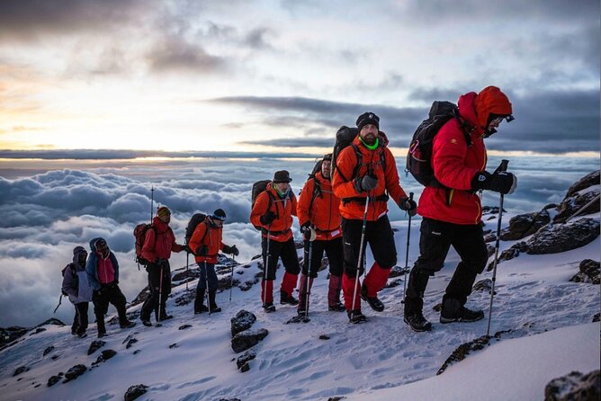 8 Day Mount Kilimanjaro Trekking Lemosho Route - Pickup and Meeting