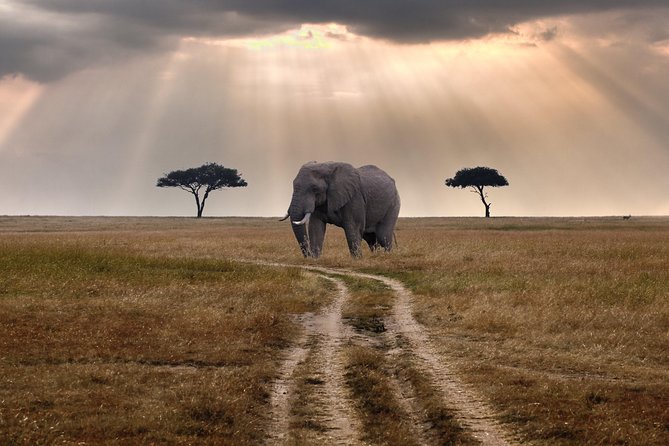 8 Days 7 Night Best Kenya and Tanzania Private Lodging Safari - Accommodations and Dining