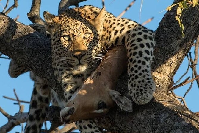 8 Days Fantastic Safari of Tanzania Midrange Tour - Tarangire National Park