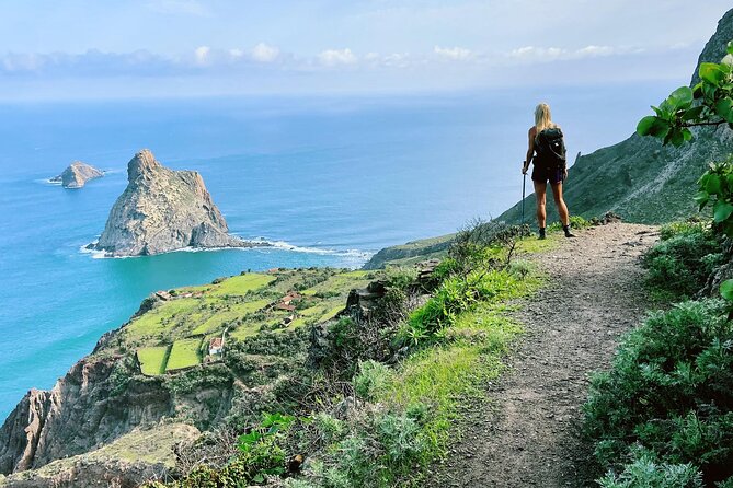 8 Days Hiking Tour in Tenerife 18-25 Dec  and 17-24 Jan - Activities and Excursions