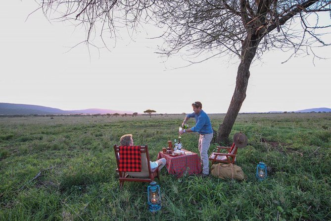8 Days Tanzania Wildlife Safari Experience - Discovering Tarangire National Park