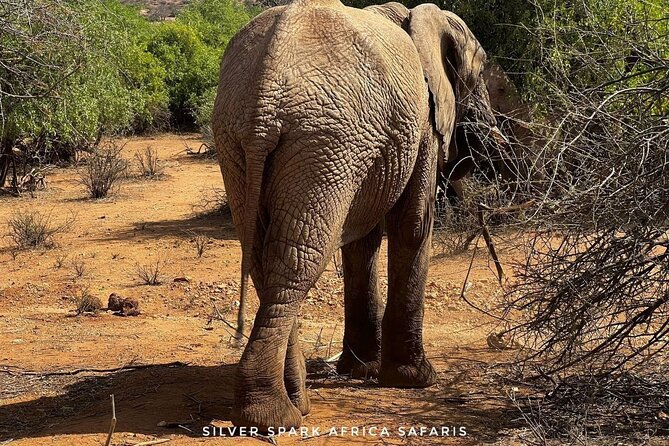 8 Days: Tsavo East National Park Amboseli, Nakuru, Maasai Mara Park - Highlights of National Parks
