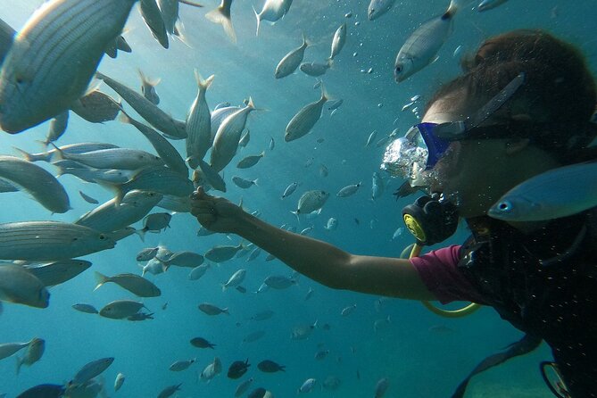 8-Hour Scuba Diving Experience in Side With Lunch - Meeting and Pickup Details