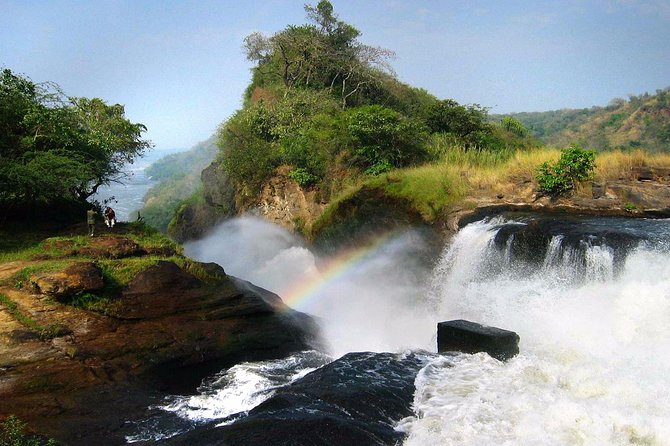9 Days Adventure And Wildlife Safari - Wildlife Experiences
