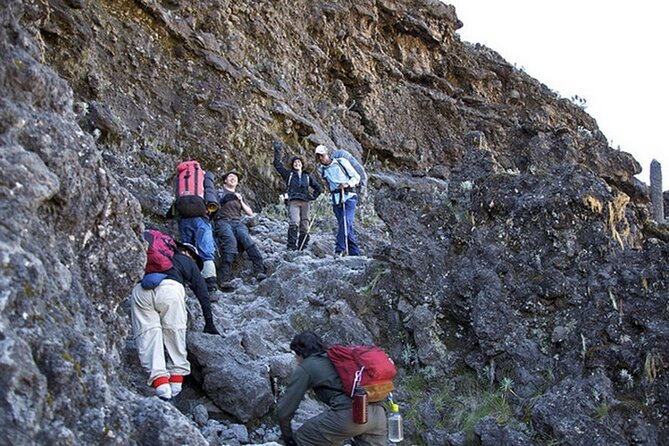 9 Days Kilimanjaro Hiking [ Climbing ] via Northern Circuit Route - Meeting and Pickup Information