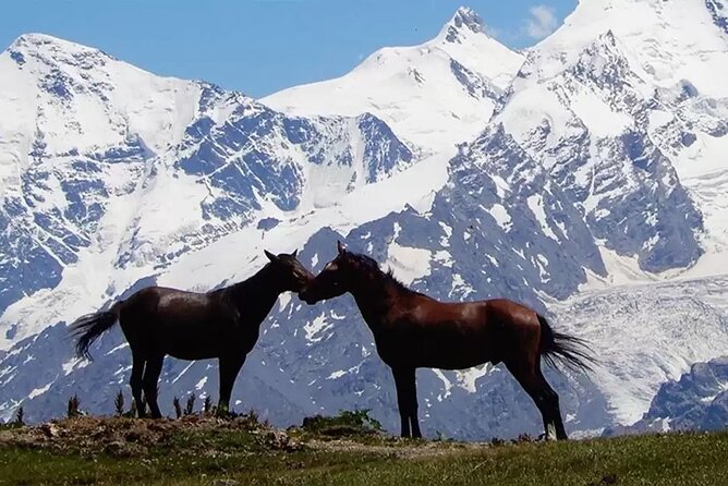 9 Days Private Hiking Tour in the Georgian Mountains of Caucasus - Accommodation and Meals