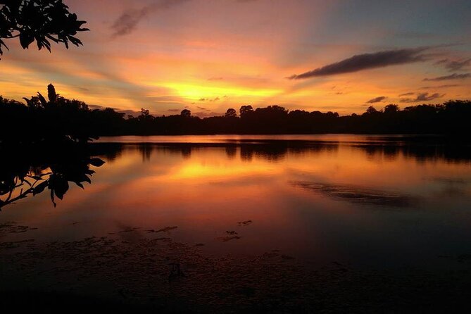 90-Minute Sunset Paddle at Secret Lake Guided Kayak Tour in Casselberry - Whats Included