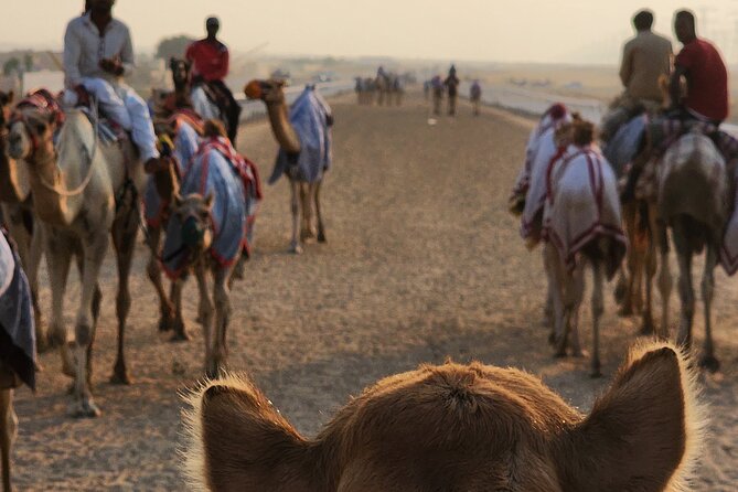 90 Minutes Guided Cultural Camel Riding in Dubai - Location and Accessibility