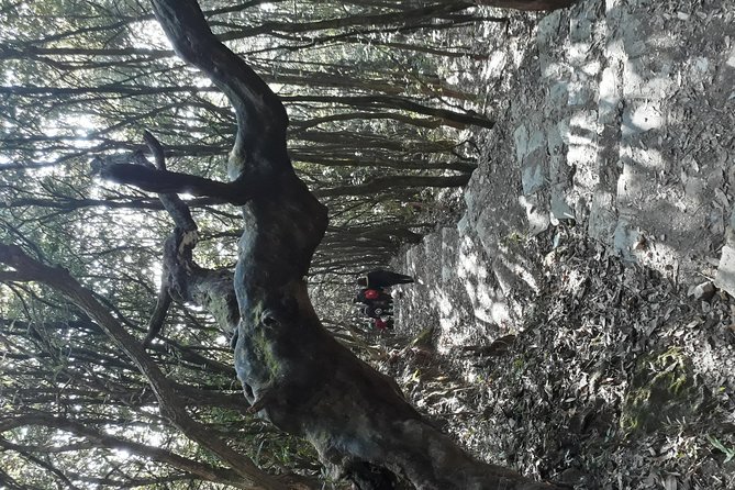 A Day Hike From Kathmandu to Bagadwaar - Whats Included in the Package