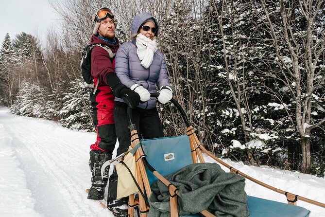 A Day With a Bite for Sled Dogs - Meeting at Radisson Metro Station