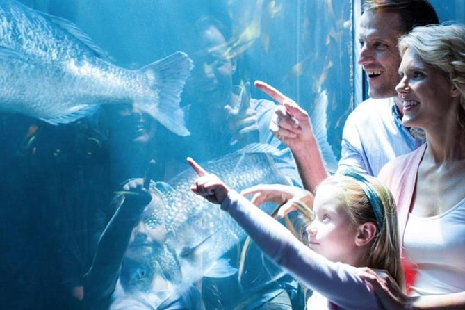 Access Entrance Ticket to AquaRio Aquarium - Including Transport and Ticket - Transportation and Pickup Details