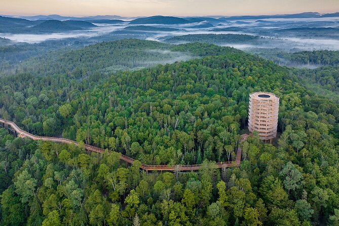 Access to Mont-Tremblant Treetop Observatory and Walk - Visitor Ratings and Recommendations