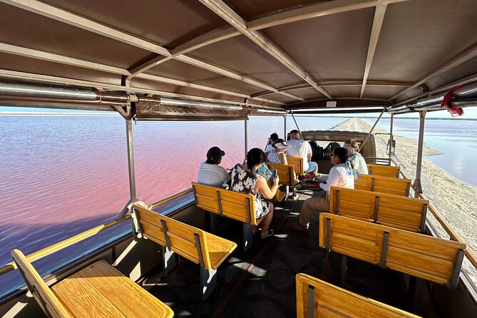 Admission Ticket to Safari in the Pink Lagoons of Las Coloradas - Location and Transportation