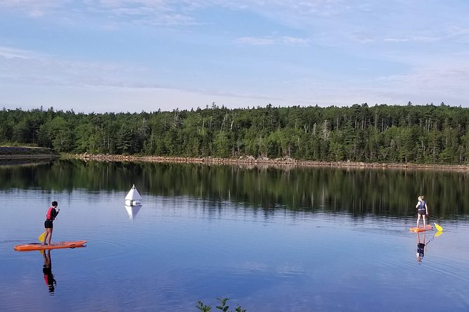 Adult Stand-Up Paddle Board Rental - Booking Process
