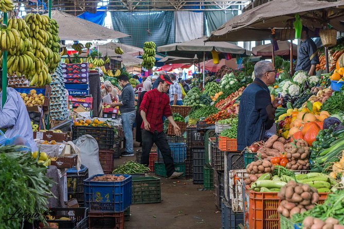 Agadir City Tour & Medina Coco Polizzi + Entrance Tickets - Exploring Agadirs Fishing Port and Marina