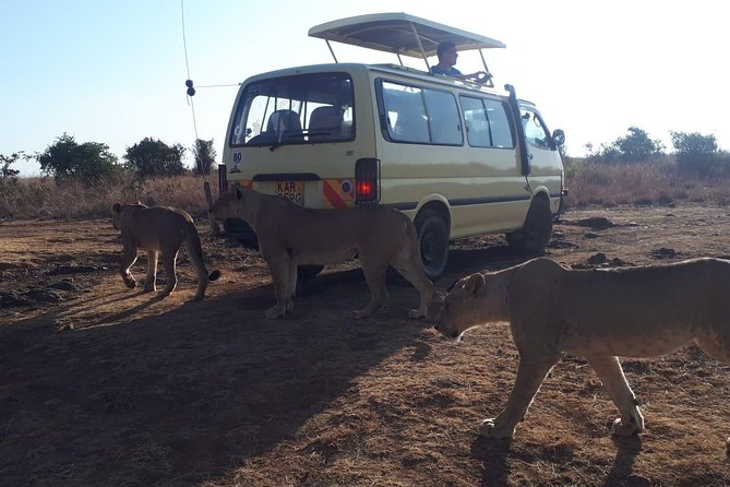 Airport Pick Up To Nairobi National Park / Drop Off - Meeting and Pickup Details