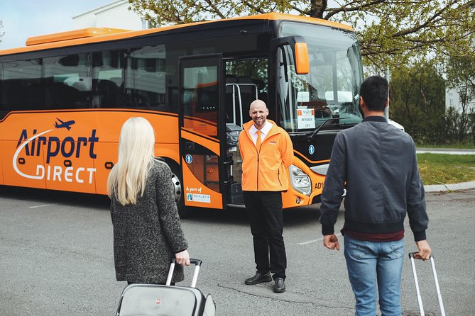 Airport Transfer in Iceland From Reykjavik City to Keflavik Airport One Way - Included Amenities
