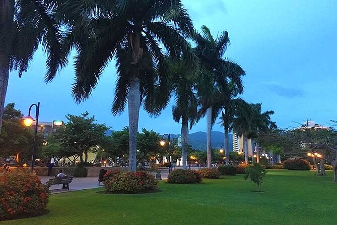 Airport Transfer in Kingston - Booking Process and Flexibility