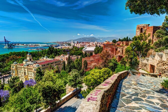 Airport Transfer: Malaga Airport AGP to Malaga by Luxury Van - Booking Confirmation and Logistics