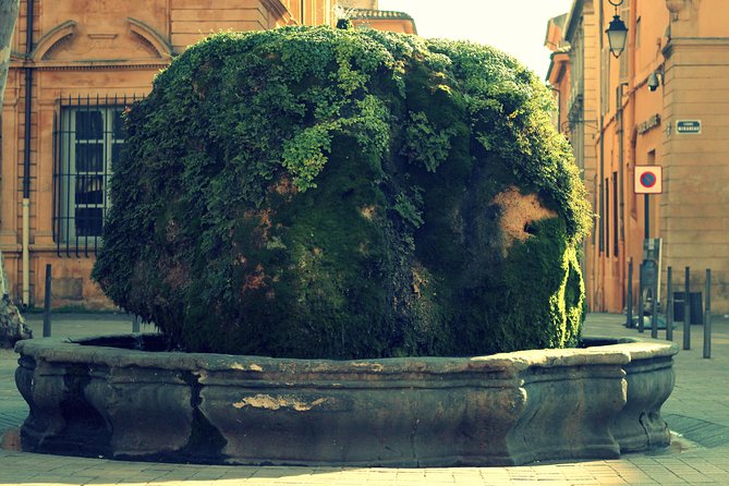 Aix-en-Provence Private Tour Review - Meeting and Pickup