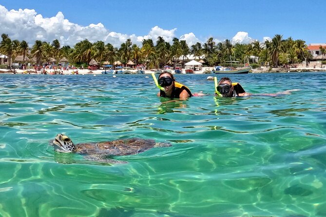 Akumal; Snorkeling and Photos With Turtles - Meeting and Pickup