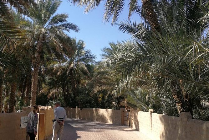 Al Ain City Private Tour With Professional Driver - Pricing and Inclusions