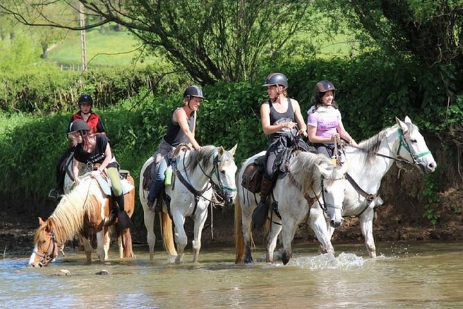Alanya Horseback Riding in the Taurus Mountains With Transfer - Inclusions of the Tour