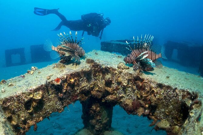 Alanya Scuba Diving Tour - Pickup Information