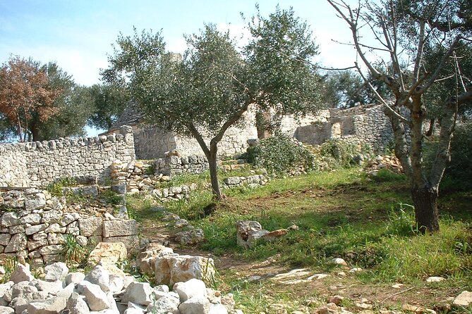 Alberobello - Unusual and Instagrammable Trulli - Urban Trail - Accessibility Guidelines