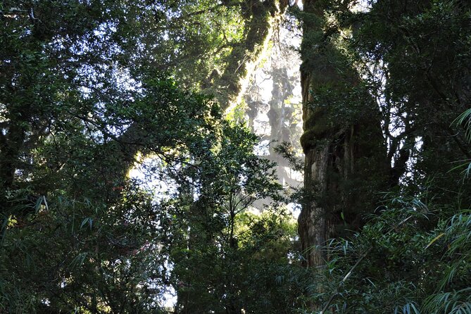 Alerce Andino Park With Las Chaicas Sector, PRIVATE - Exclusions