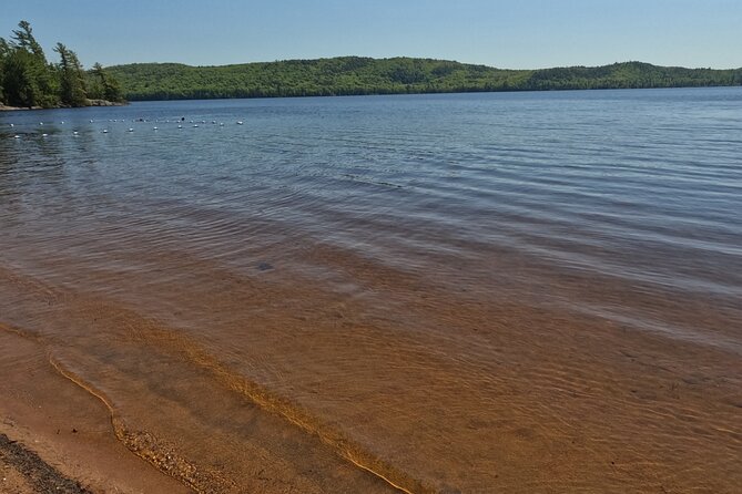 Algonquin Provincial Park Full Day Trip - Inclusions