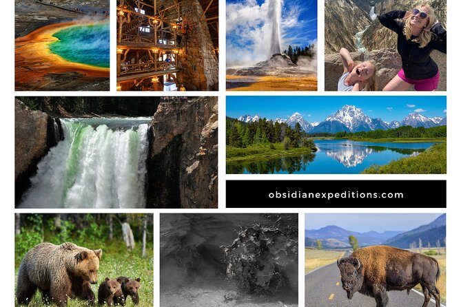 All-Day Tour of Yellowstone National Park - Encounter With Yellowstones Wildlife
