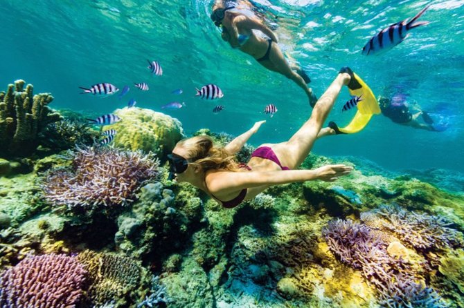 All Inclusive Bali Blue Lagoon Snorkeling With Lunch and Transport - Pickup Locations and Schedule