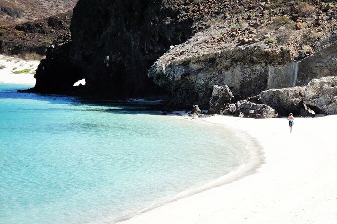All-Inclusive Catamaran Tour | Beaches & Sea Lions From Los Cabos - Onboard Amenities