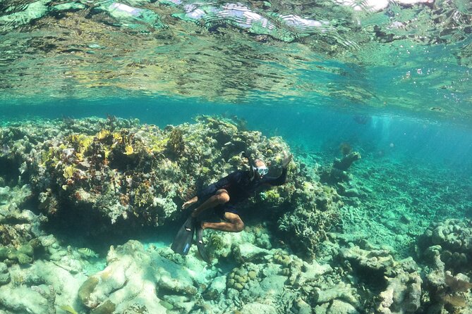 All-Inclusive Day-Trip From Nassau to Andros Bahamas - Inclusions