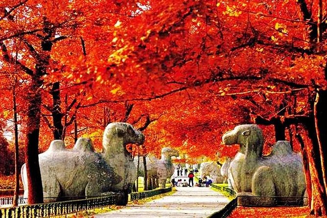 All Inclusive Nanjing City Private Day Tour With Tailor-Made Highlights - Inclusions and Features