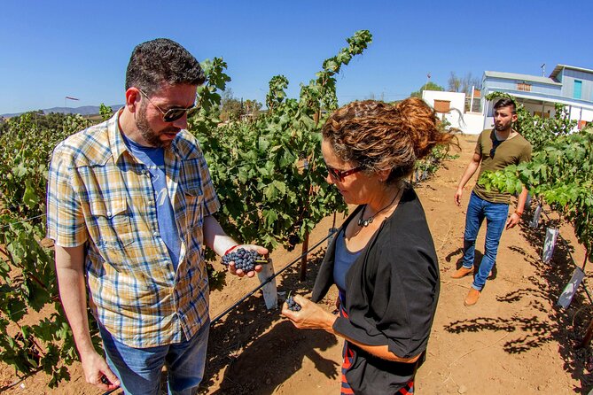 All-Inclusive Overnight Wine Tour. Round Trip From San Diego. - Pickup and Meeting Information