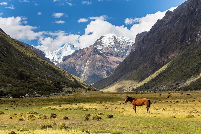Alpamayo Trek 12 Days - Comunity Support Program - Included Amenities