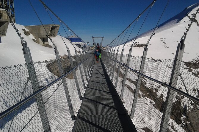 Alpine Majesty:Exclusive Private Tour to Mount Titlis From Basel - Scenic Train Travel