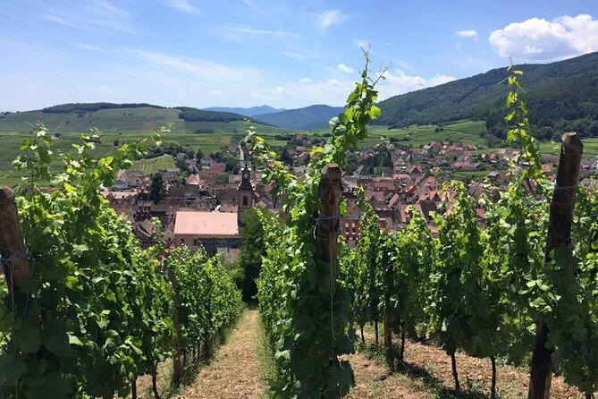 Alsace 4 Wonders Private Full Day Trip - Itinerary and Highlights