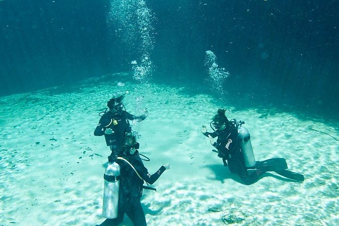 Amazing Beginner Dive in Tulum Cenote (Or Refresher Dive) - Health and Safety Information
