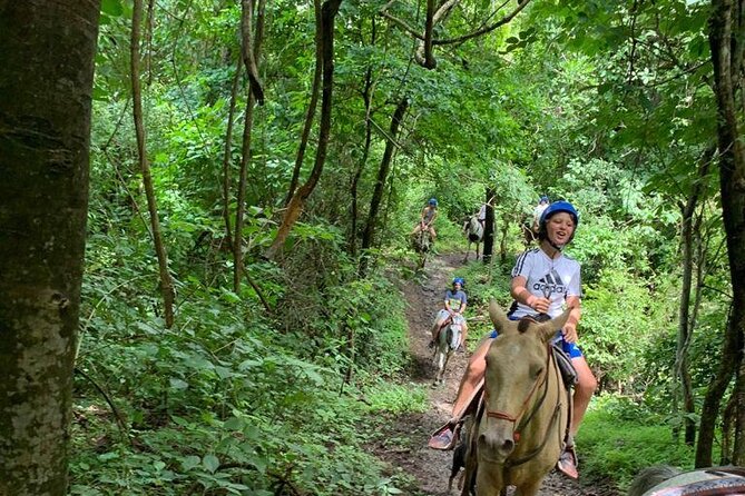 Amazing Horseback Riding in the Tropical Forest - Inclusions and Amenities
