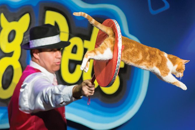 Amazing Pets Show in Branson - Included Amenities